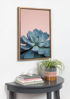 Sylvie Succulent 10 Framed Canvas by F2 Images