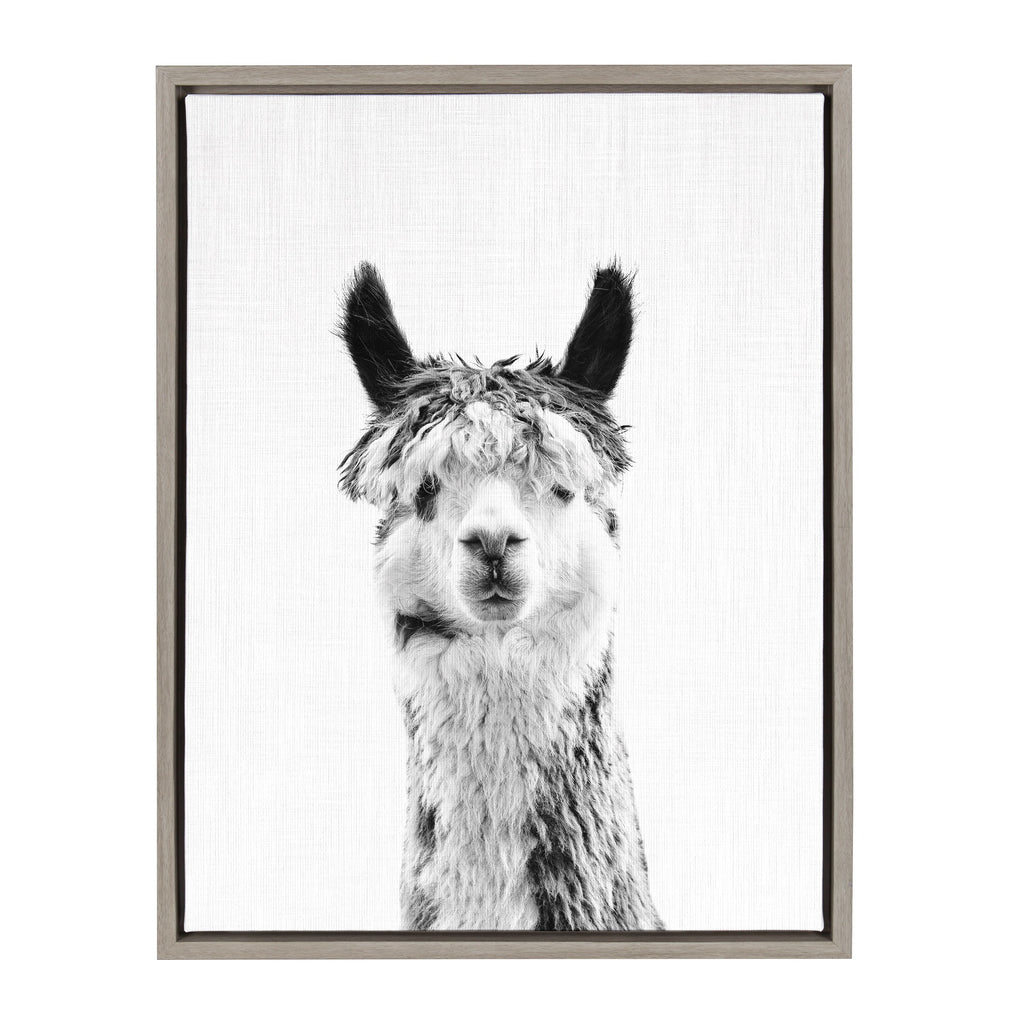 Sylvie Llama Framed Canvas by Simon Te Tai