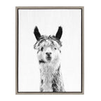 Sylvie Llama Framed Canvas by Simon Te Tai
