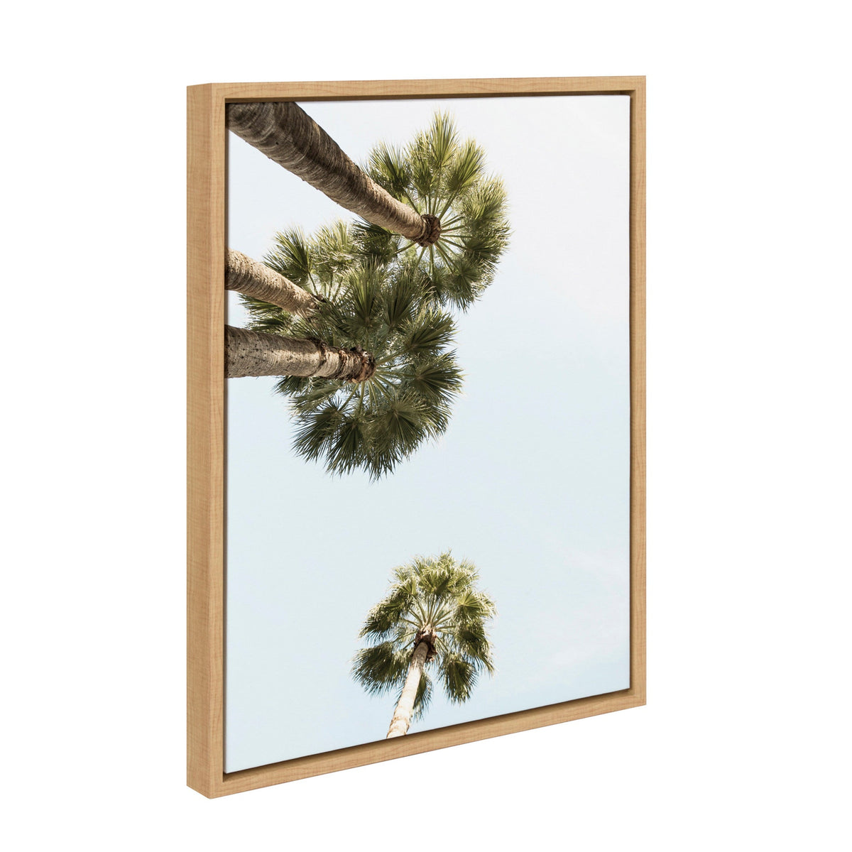 Sylvie Palm Trees Above Framed Canvas By Shawn St. Peter