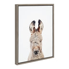 Sylvie Animal Studio Burro Portrait Framed Canvas by Amy Peterson Art Studio