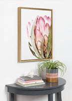 Sylvie Pink Protea Flower Framed Canvas by Amy Peterson