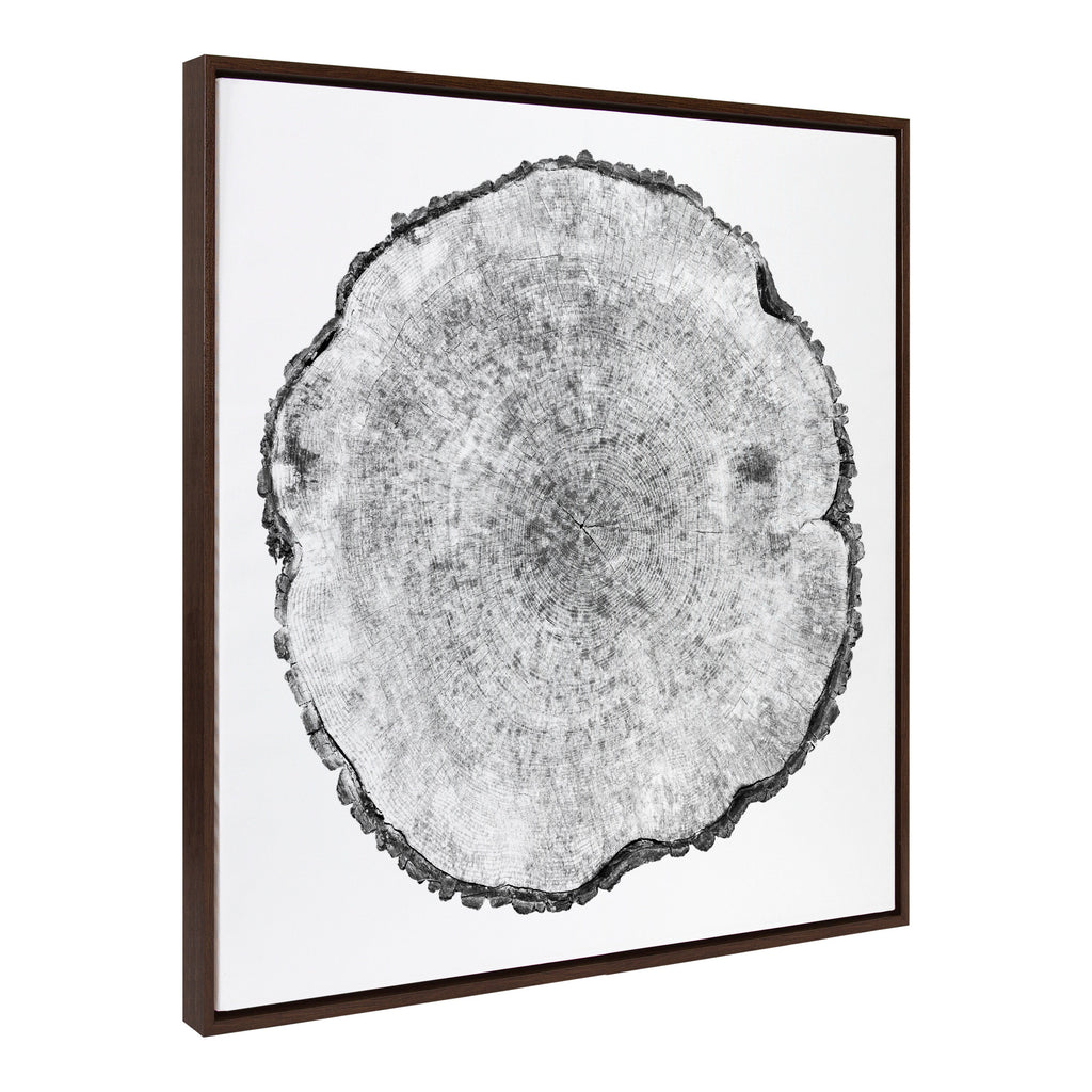 Sylvie Tree Rings Framed Canvas by Emiko and Mark Franzen of F2Images