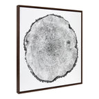 Sylvie Tree Rings Framed Canvas by Emiko and Mark Franzen of F2Images