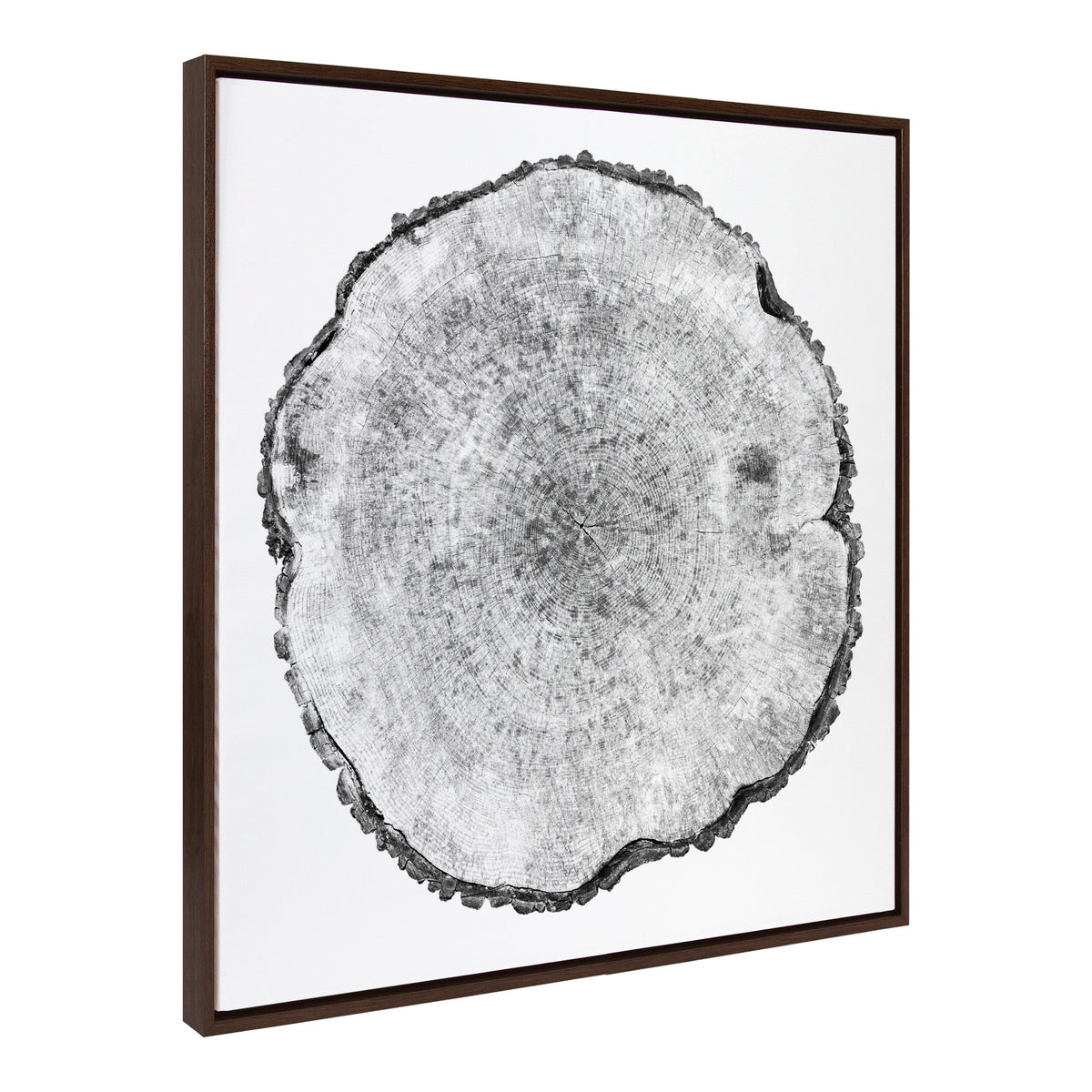 Sylvie Tree Rings Framed Canvas by Emiko and Mark Franzen of F2Images