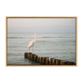 Sylvie Great White Heron Isla Holbox Framed Canvas by Crystal Lynn Collins