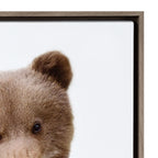 Sylvie Woodland Animal Framed Canvas Art Set by Amy Peterson