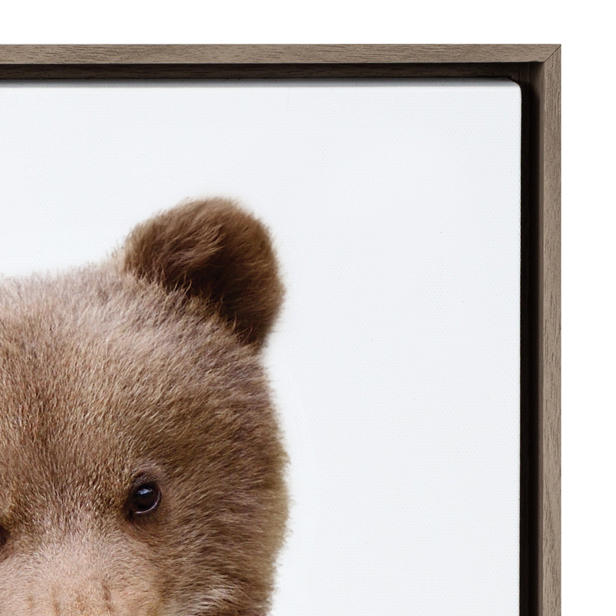 Sylvie Woodland Animal Framed Canvas Art Set by Amy Peterson