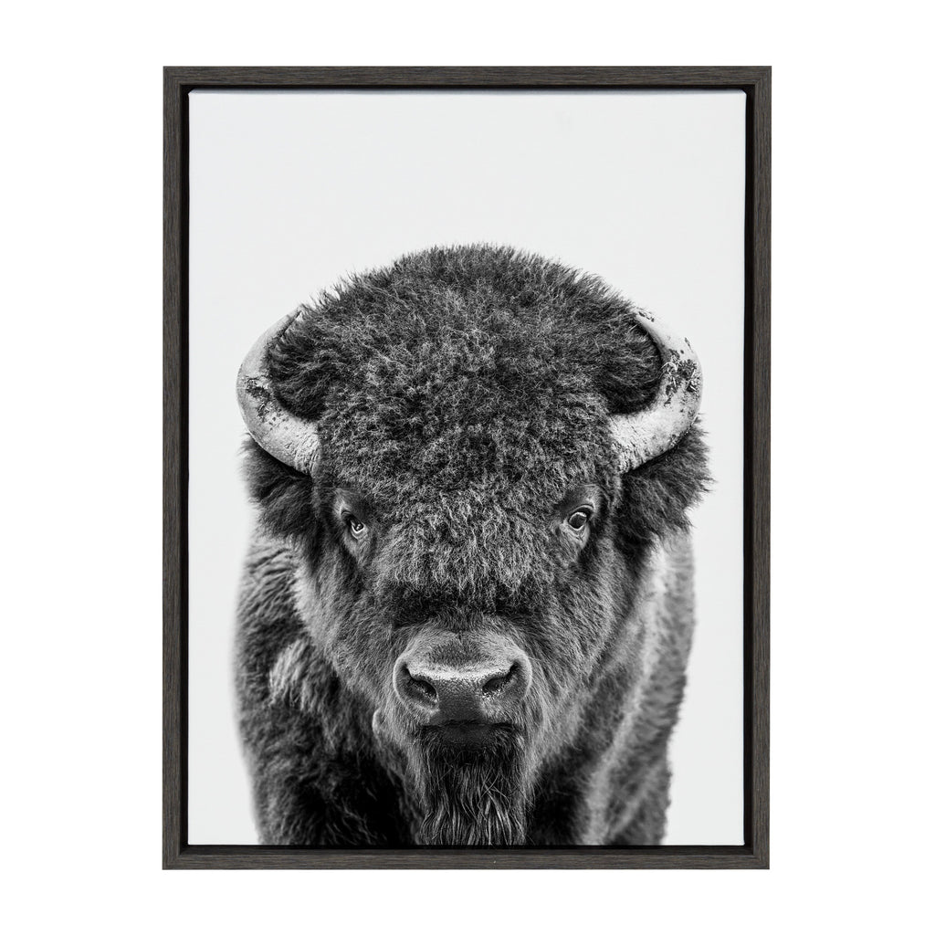 Sylvie Bison Portrait Black and White Framed Canvas by Amy Peterson Art Studio