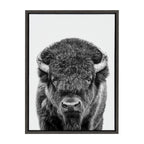 Sylvie Bison Portrait Black and White Framed Canvas by Amy Peterson Art Studio