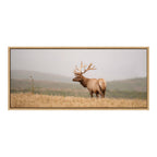 Sylvie Tule Elk No 3 Framed Canvas by Crystal Lynn Collins
