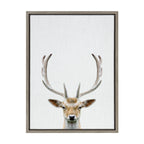 Sylvie Deer Color Framed Canvas by Simon Te of Tai Prints