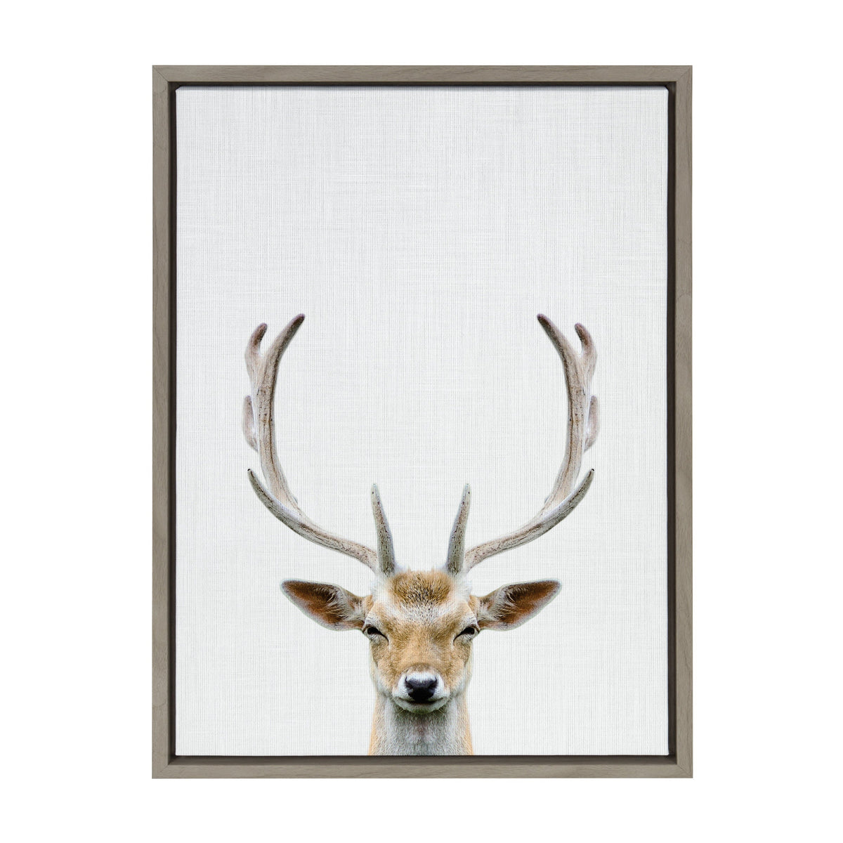 Sylvie Deer Color Framed Canvas by Simon Te of Tai Prints