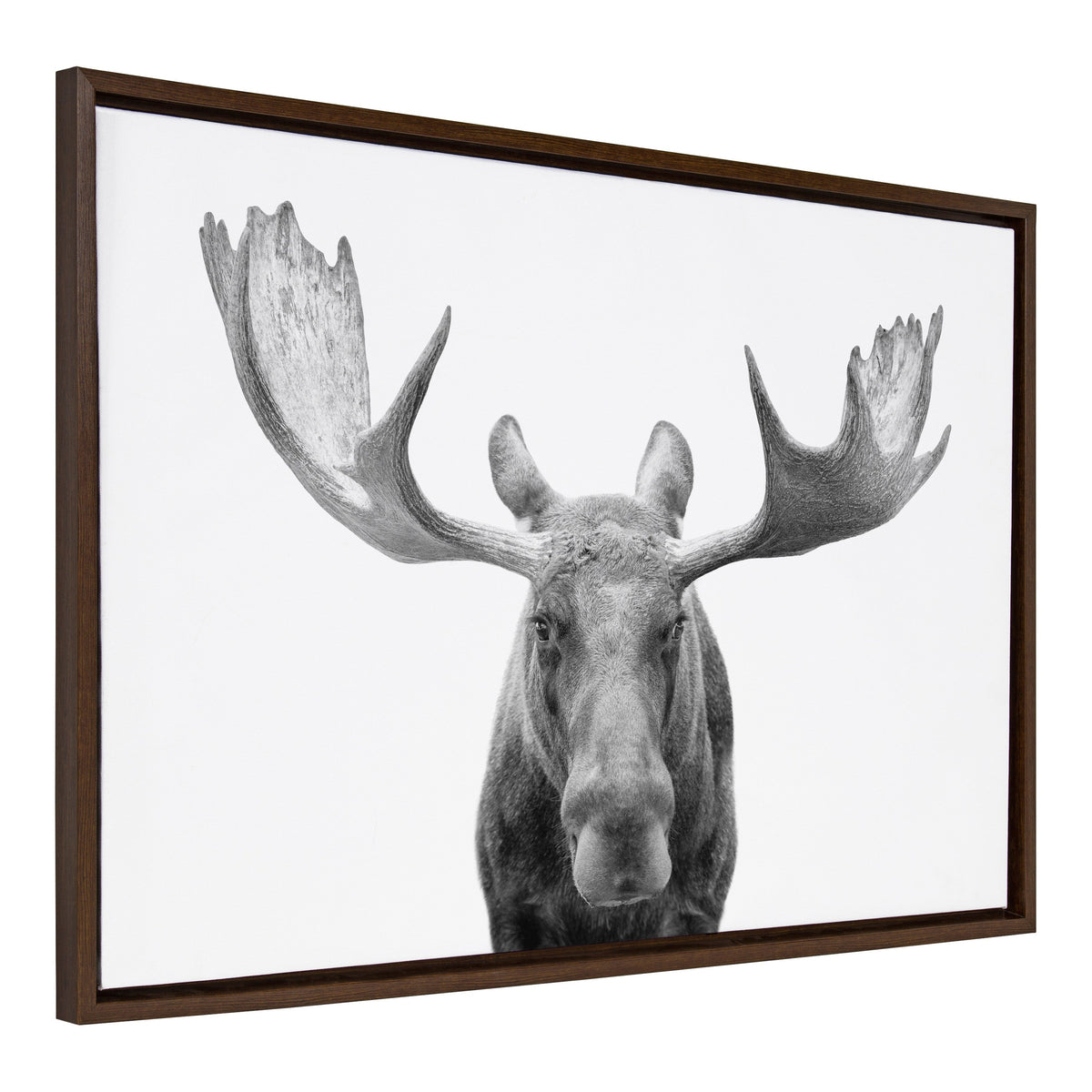 Sylvie Moose Black and White Framed Canvas by Amy Peterson Art Studio