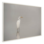 Sylvie Great White Egret Framed Canvas by Crystal Lynn Collins