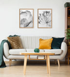 Blake Bell Agapanthus X Ray Floral BW Framed Printed Art by The Creative Bunch Studio