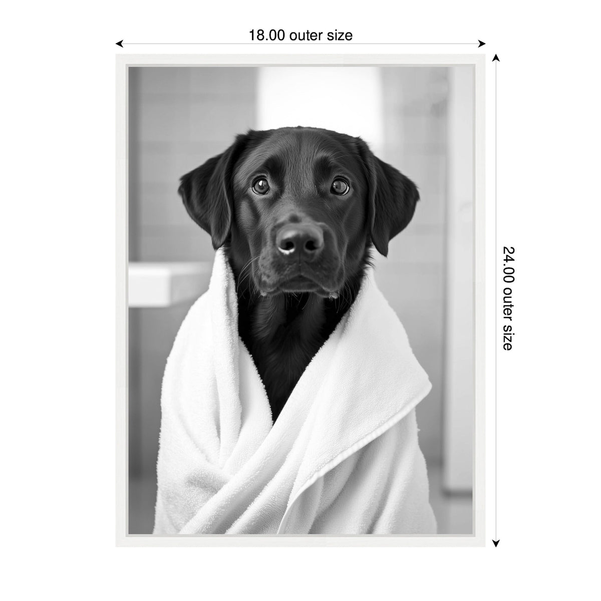 Sylvie Black Lab Bathroom Art Towel Robe Black and White Framed Canvas by The Creative Bunch Studio
