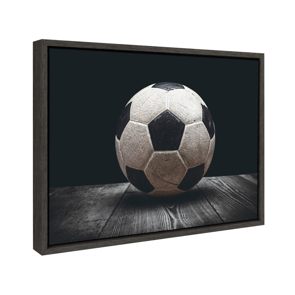Sylvie Soccer Ball Framed Canvas by Shawn St. Peter