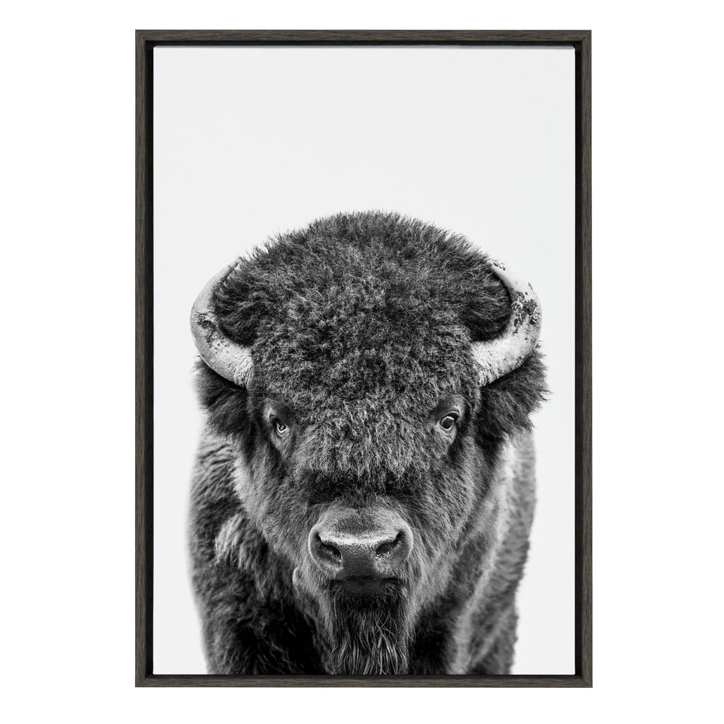Sylvie Bison Portrait Black and White Framed Canvas by Amy Peterson Art Studio