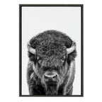 Sylvie Bison Portrait Black and White Framed Canvas by Amy Peterson Art Studio