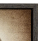 Sylvie Vintage Hardball Framed Canvas by Shawn St. Peter