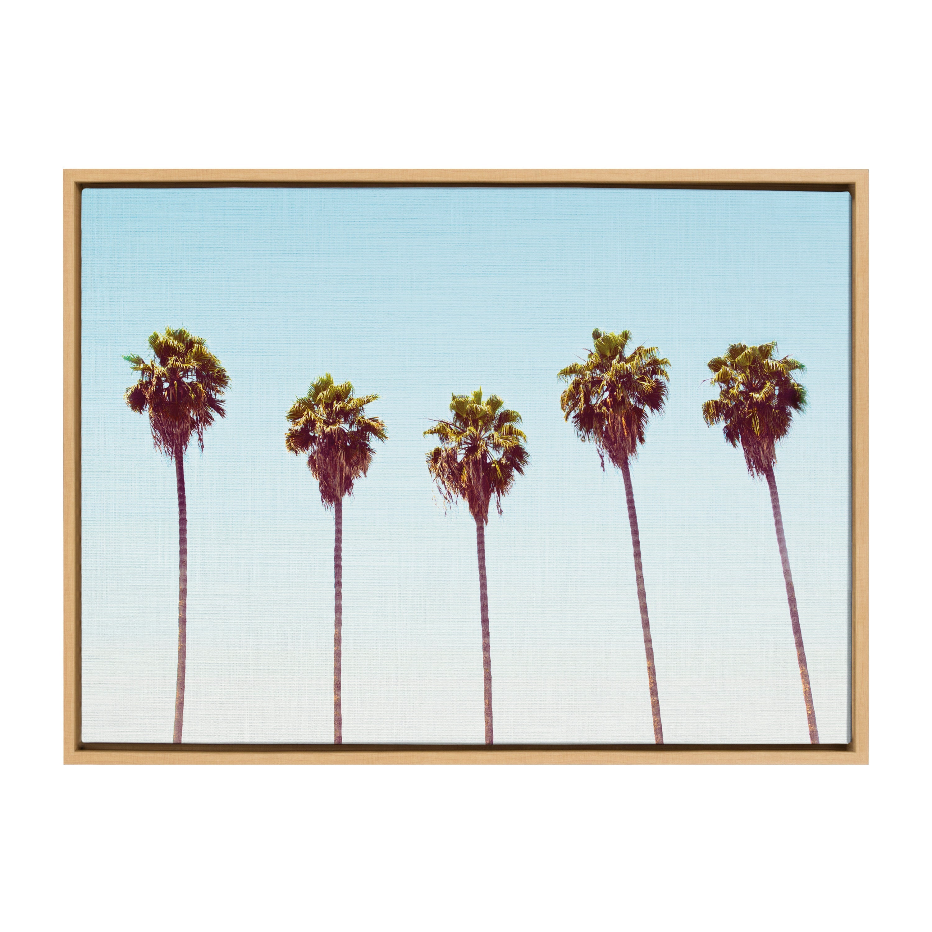 Sylvie Five Palms Framed Canvas by Simon Te