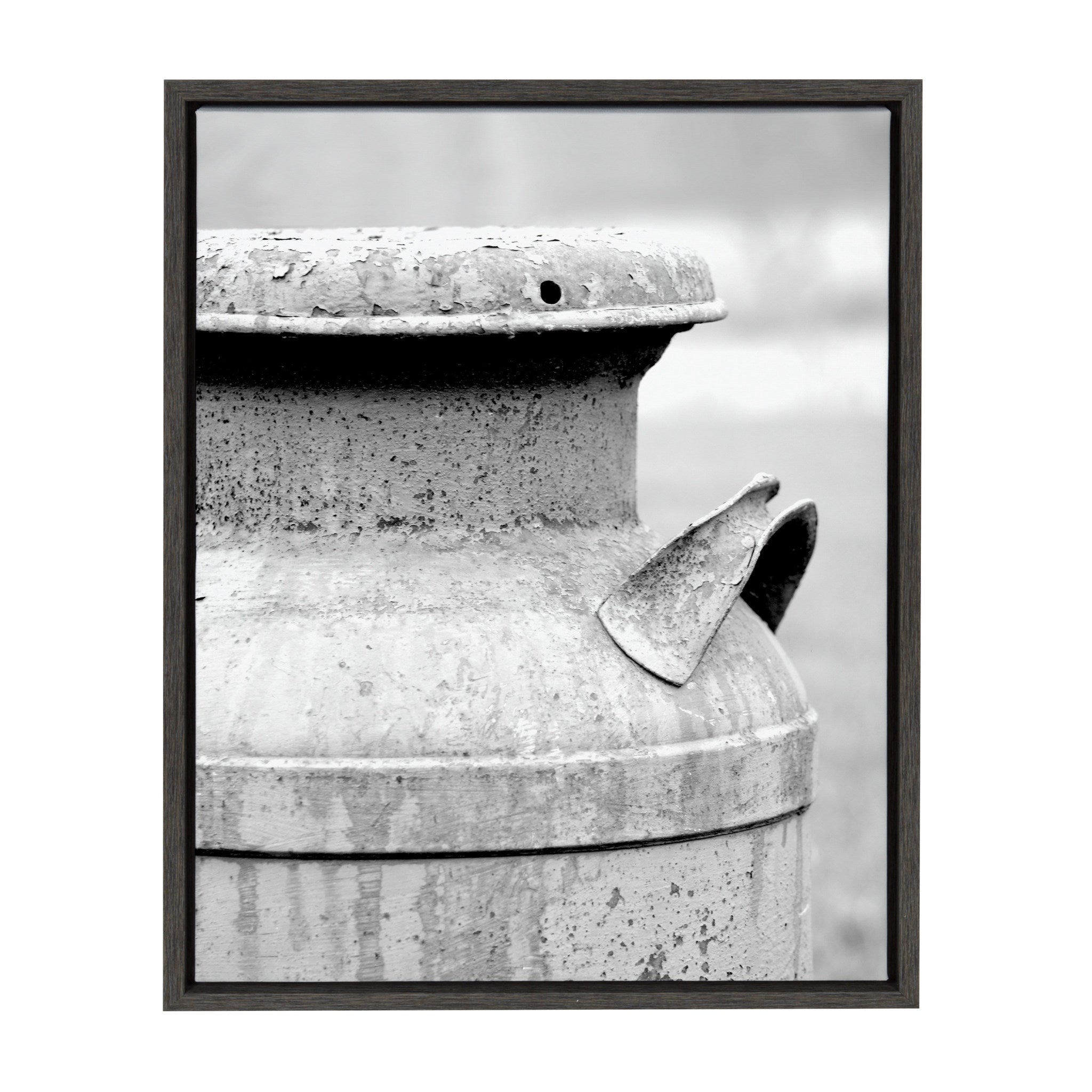 Sylvie Milk Can Framed Canvas by Jami Skarda