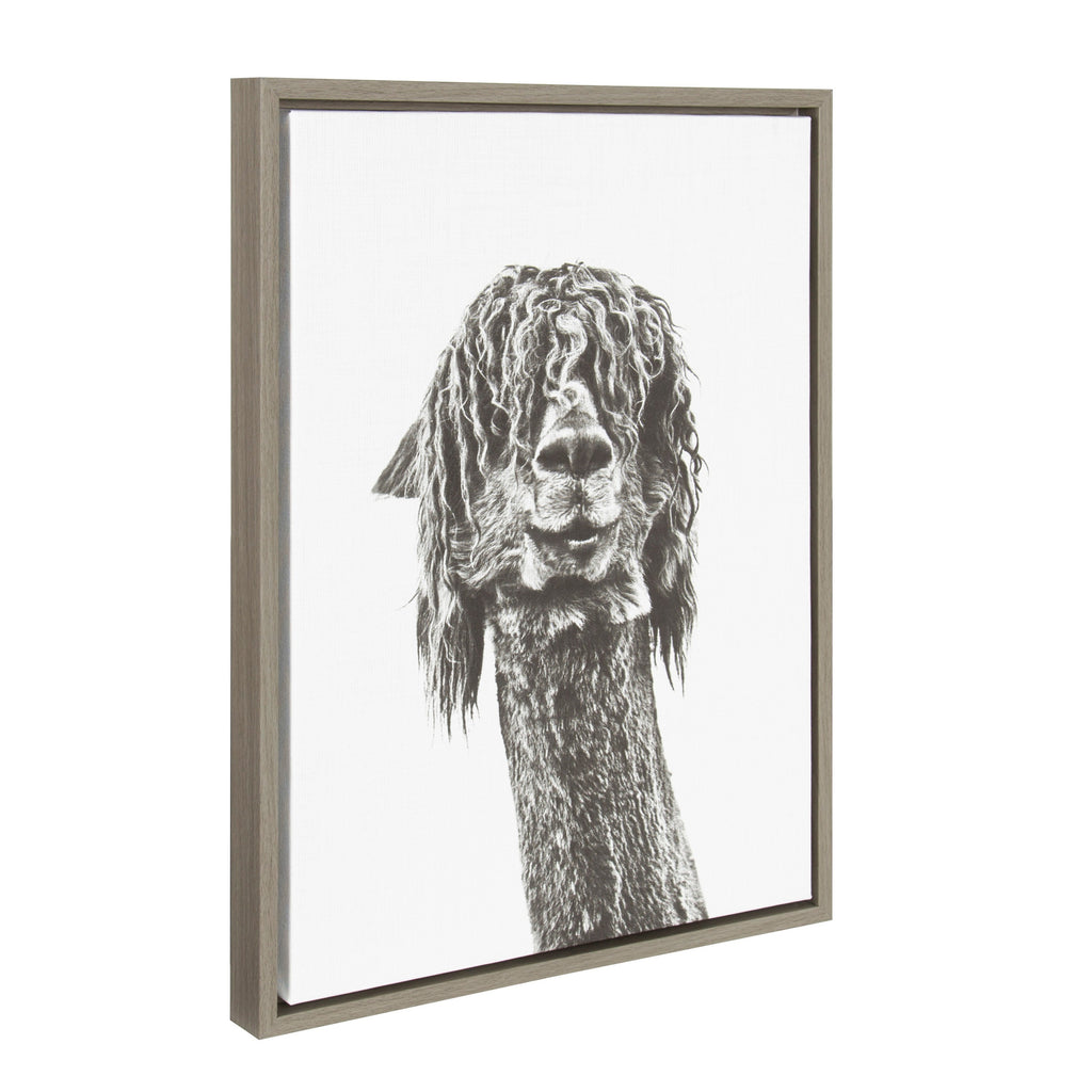 Sylvie Curly Hair Alpaca Framed Canvas by Simon Te Tai
