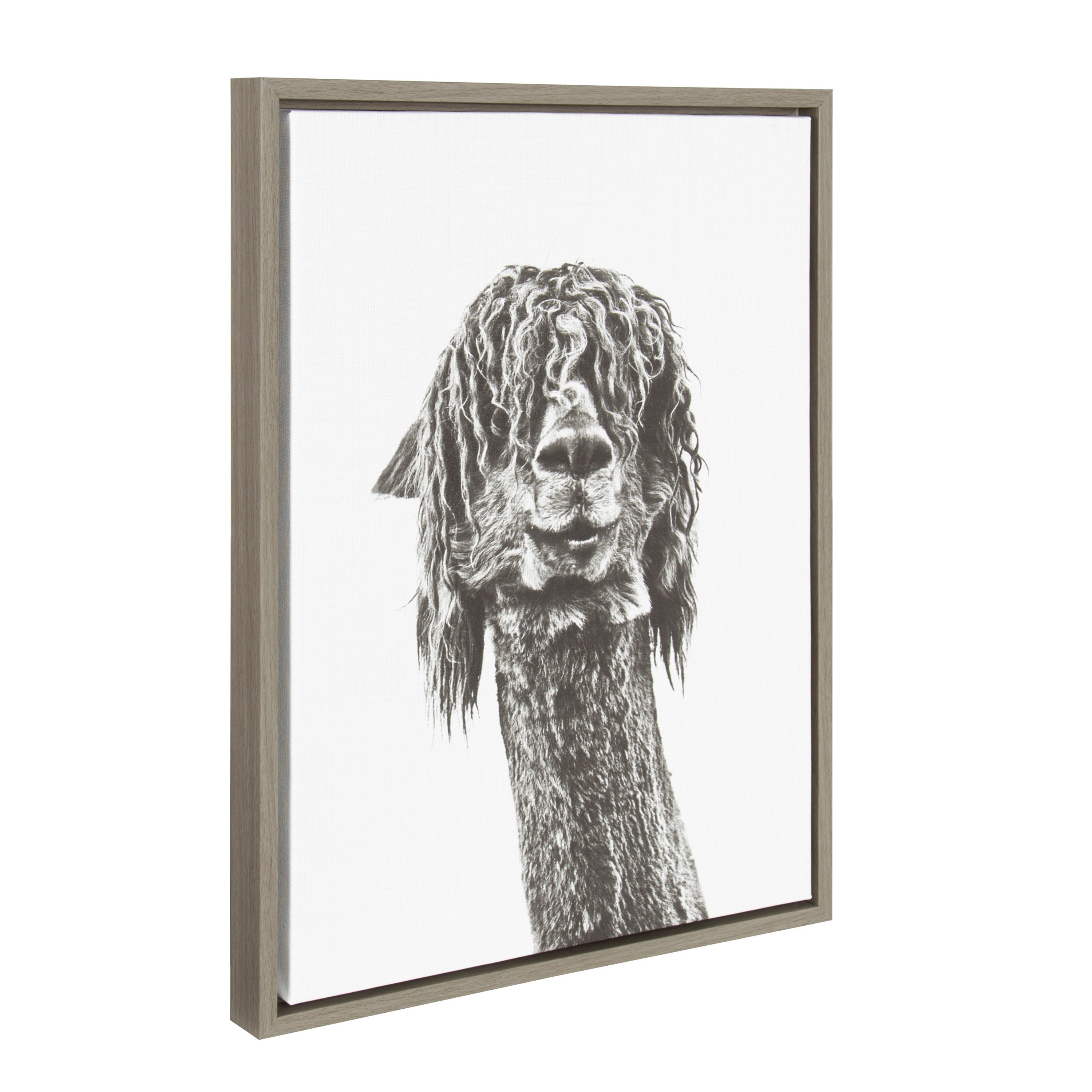 Sylvie Curly Hair Alpaca Framed Canvas by Simon Te Tai