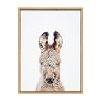 Sylvie Animal Studio Burro Portrait Framed Canvas by Amy Peterson Art Studio