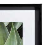 Calter Succulent Leaves Framed Print Art Set by Amy Peterson