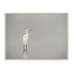 Sylvie Great White Egret Framed Canvas by Crystal Lynn Collins