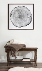 Sylvie Tree Rings Framed Canvas by Emiko and Mark Franzen of F2Images