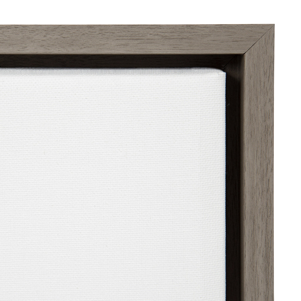 Sylvie Houseplants Framed Canvas by Sara Berrenson