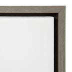Sylvie Houseplants Framed Canvas by Sara Berrenson