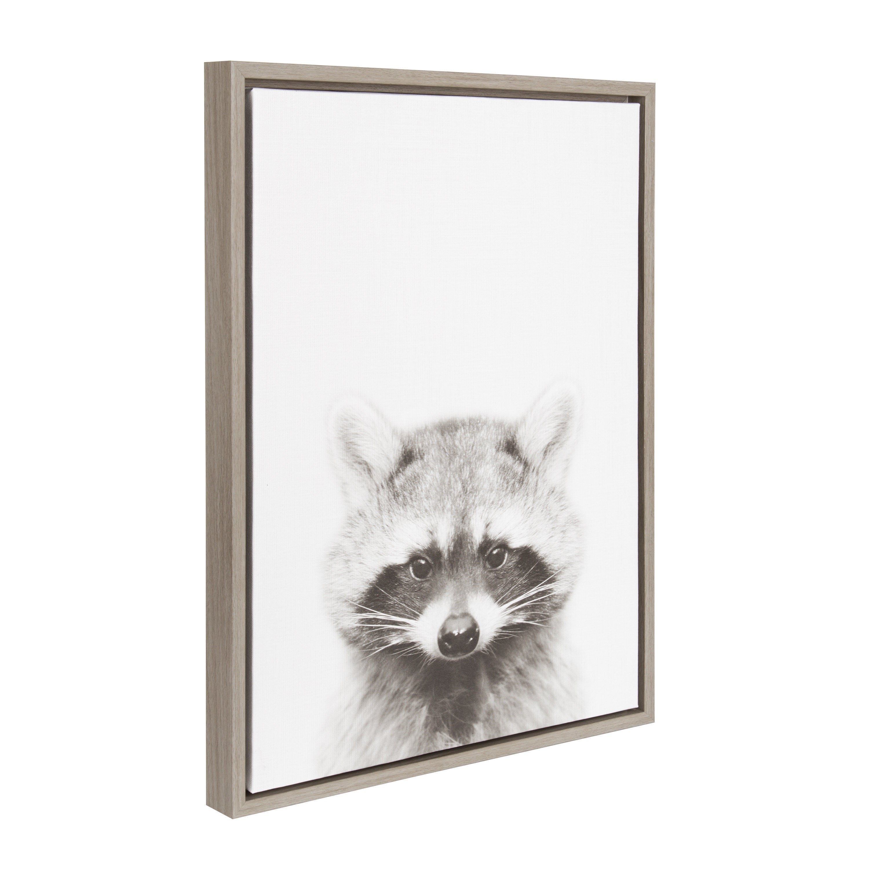 Sylvie Raccoon Framed Canvas by Simon Te Tai