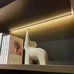 Langley · Modern Office Shelves