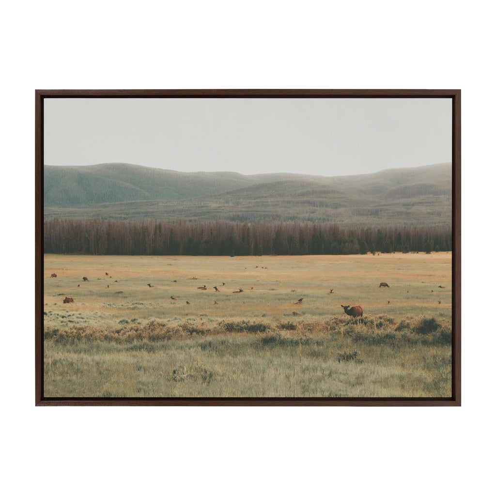 Sylvie AA On The Range Framed Canvas by Alicia Abla