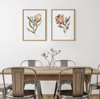 Sylvie Wild Banksia Framed Canvas by Sara Berrenson