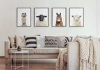 Sylvie Animal Studio Burro Portrait Framed Canvas by Amy Peterson Art Studio