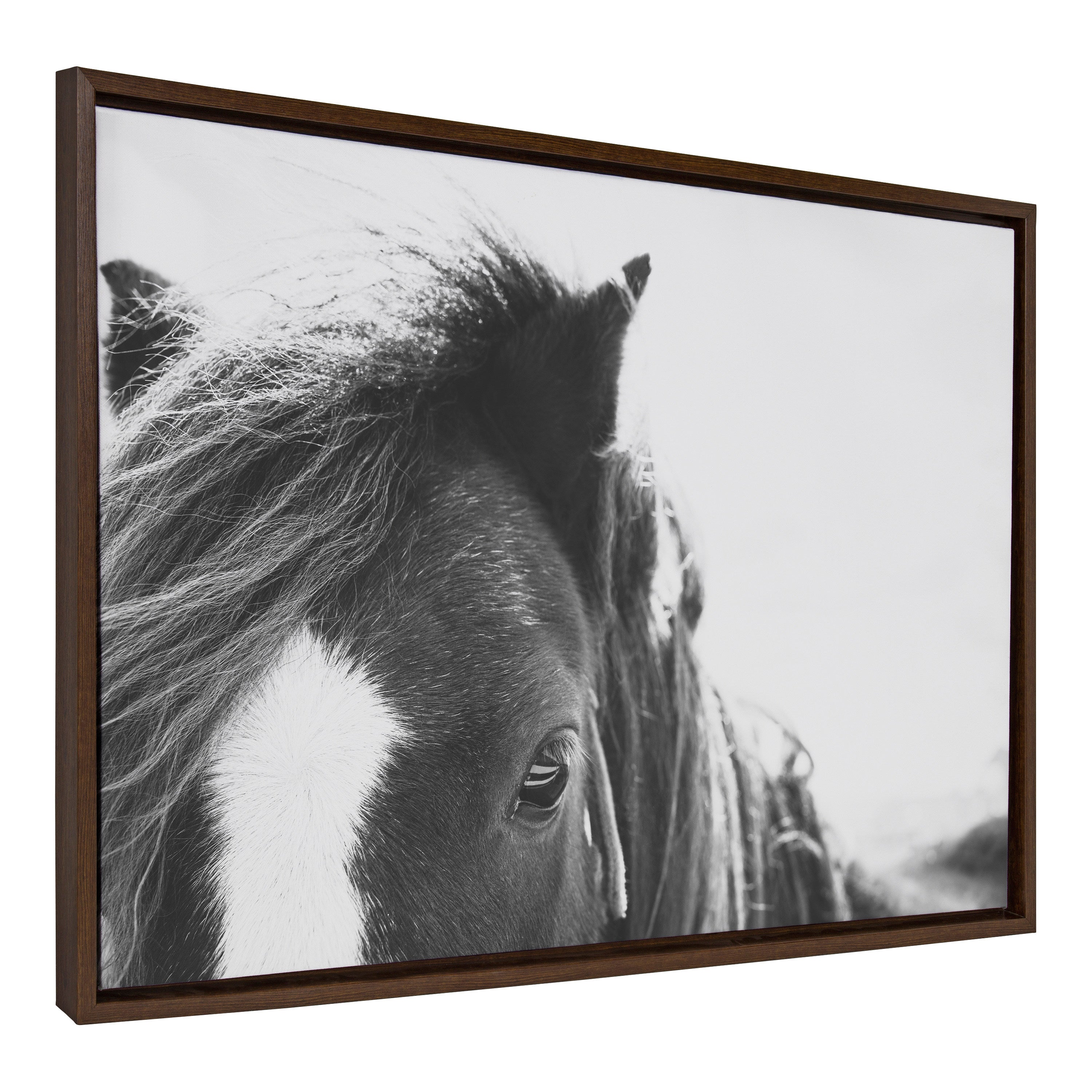 Sylvie Noble BW Framed Canvas by Alicia Abla