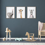 Sylvie Bubble Gum Zebra Framed Canvas by Amy Peterson Art Studio
