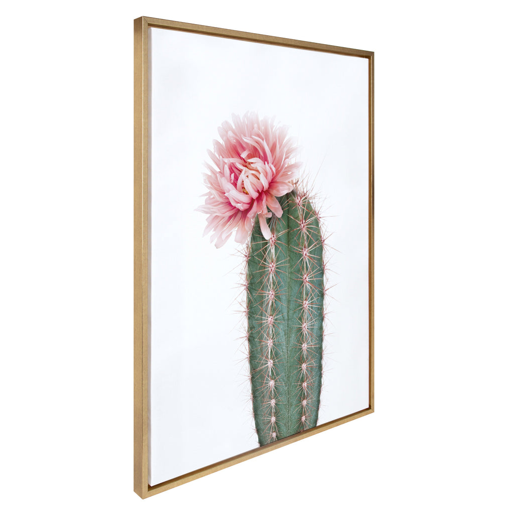 Sylvie Pink Cactus Flower Framed Canvas by Amy Peterson Art Studio