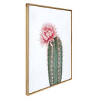 Sylvie Pink Cactus Flower Framed Canvas by Amy Peterson Art Studio
