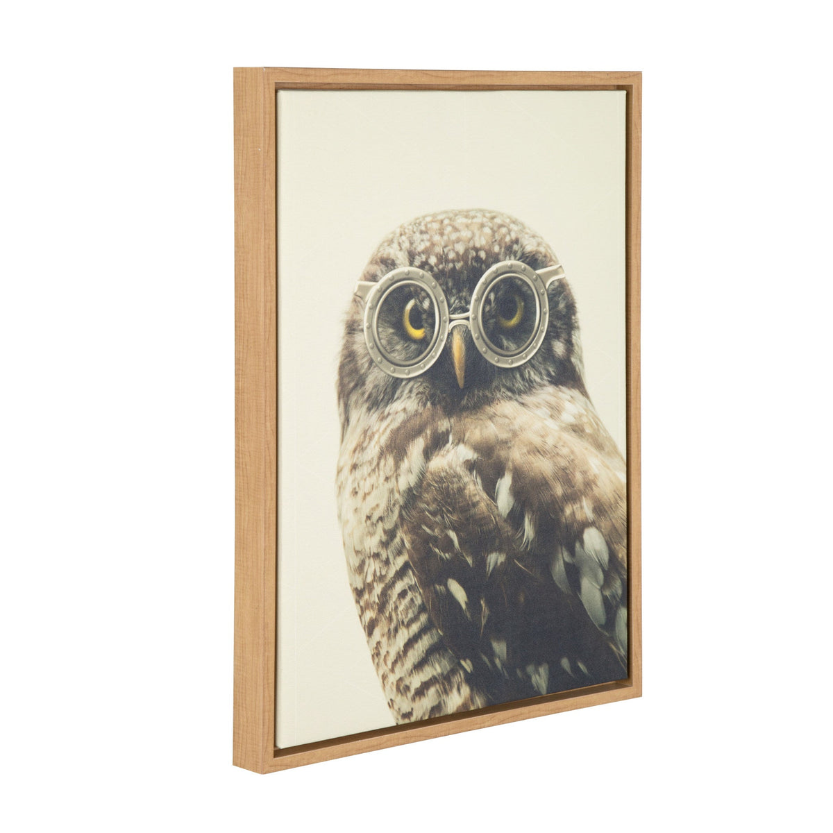 Sylvie Owl Wearing Glasses Framed Canvas by F2 Images
