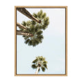 Sylvie Palm Trees Above Framed Canvas By Shawn St. Peter