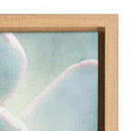 Sylvie Succulent 7 Framed Canvas by F2 Images