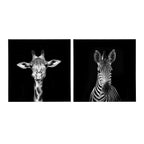Minimalist Animal Portrait on Black Canvas by The Creative Bunch Studio