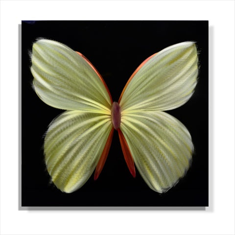 Metal Artscape MA10072 24 X 24 in Nova Butterfly Yellow SinglePaneled Handmade Metal Wall Art