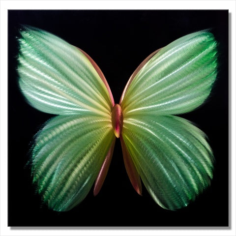 Metal Artscape MA10074 24 X 24 in Nova Butterfly green SinglePaneled Handmade Metal Wall Art